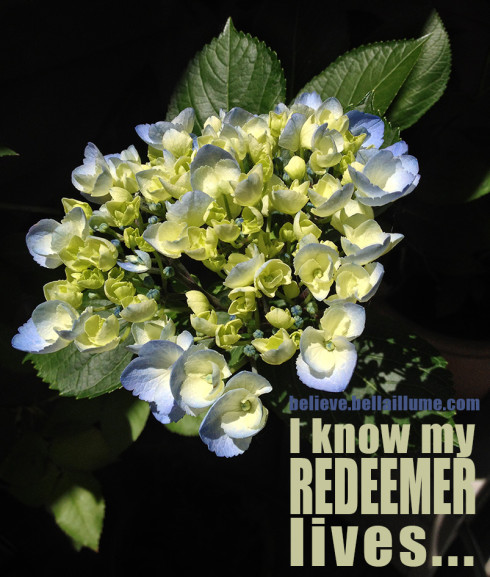 I Know My Redeemer Lives